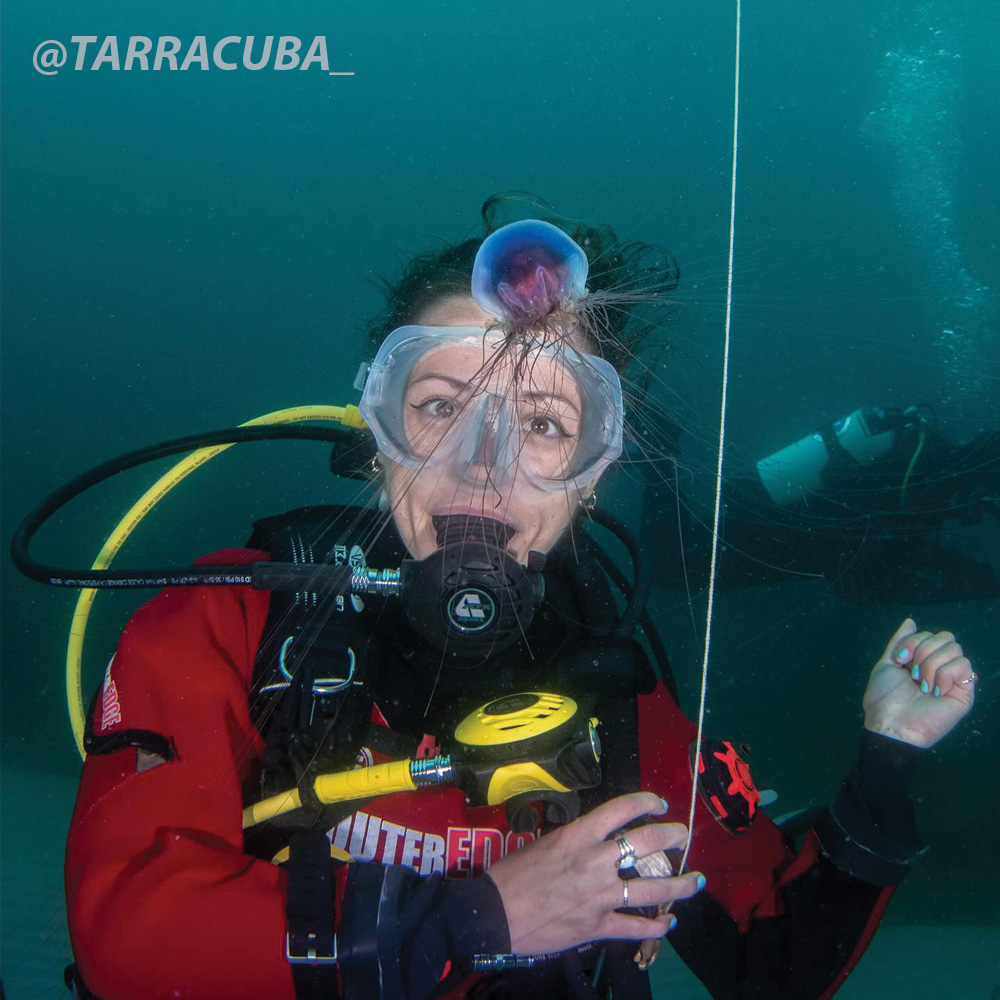 Clear mask in use